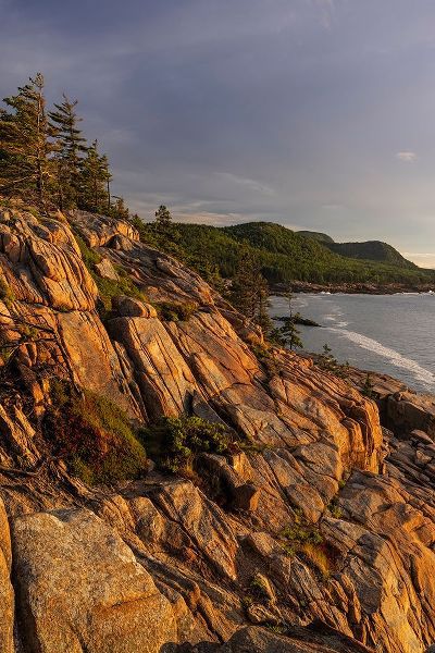 Haney, Chuck 아티스트의 Otter Cliffs at sunrise in Acadia National Park-Maine-USA작품입니다.